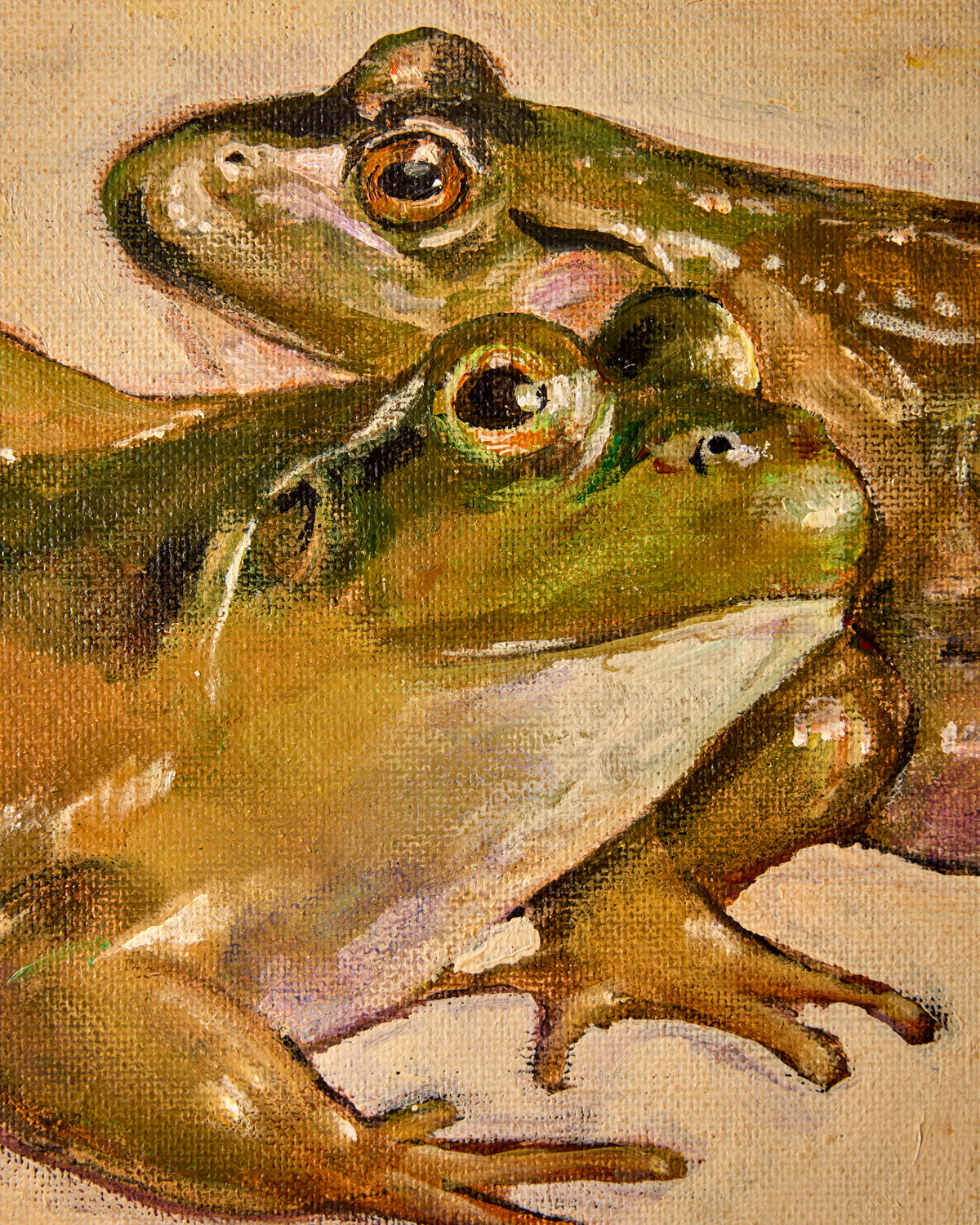 "Frog Chorus"