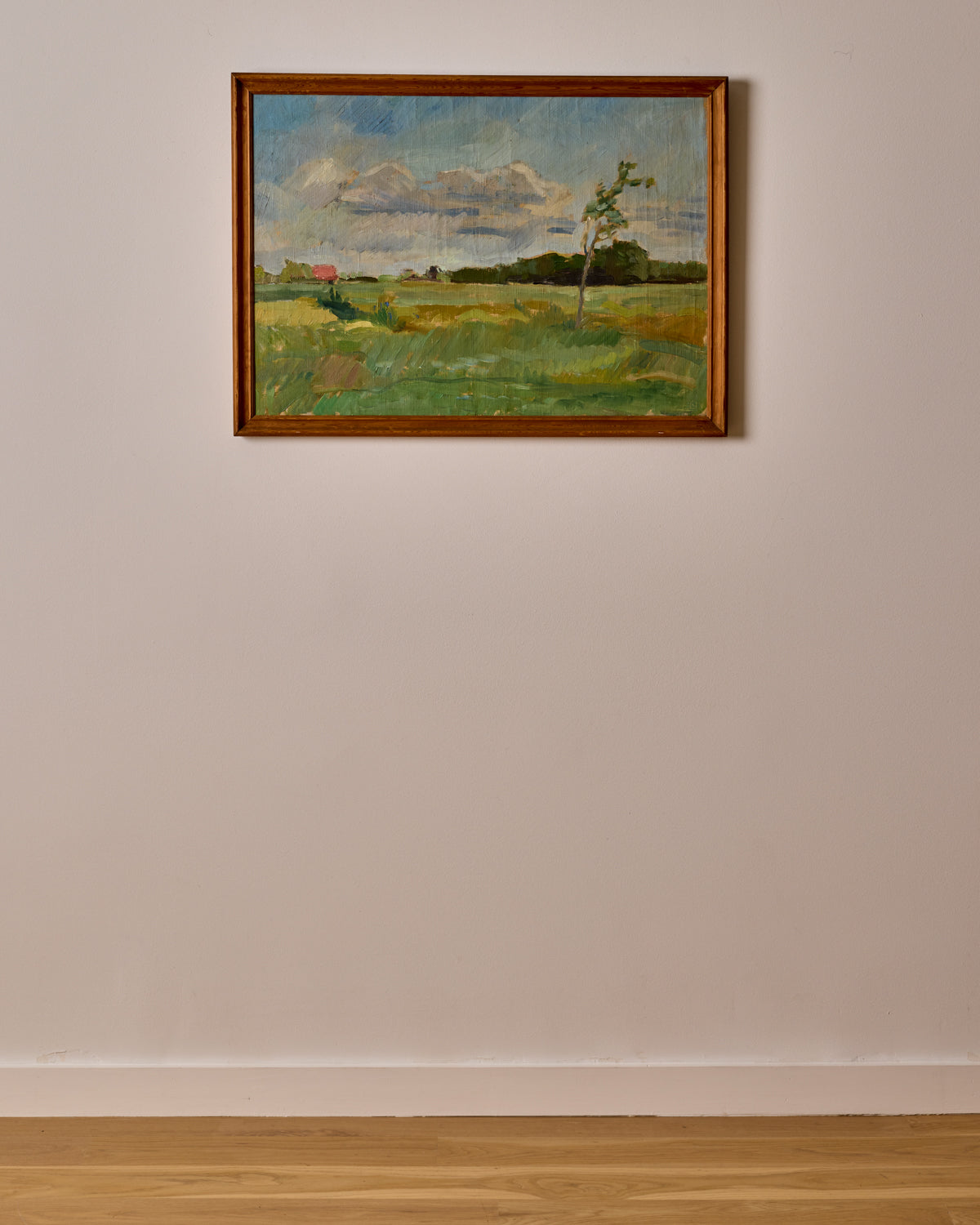 Danish Landscape