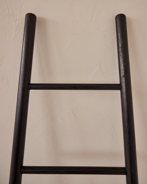 Black Bloak Ladder