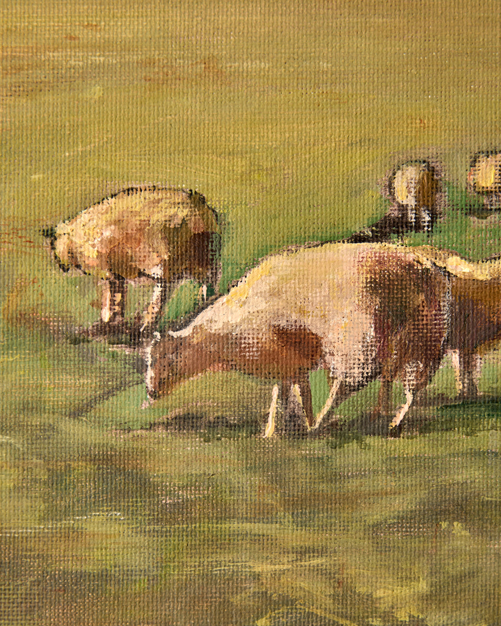 "Sheep Family"