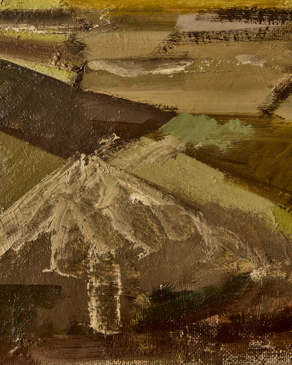 Field Landscape