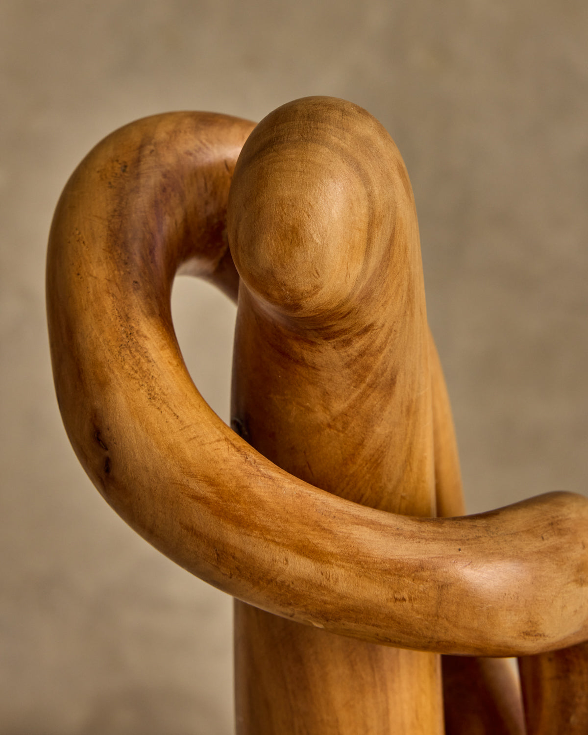 Organic Wooden Sculpture