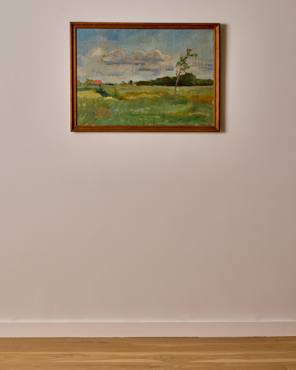Danish Landscape