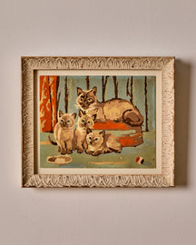 Siamese Kittens