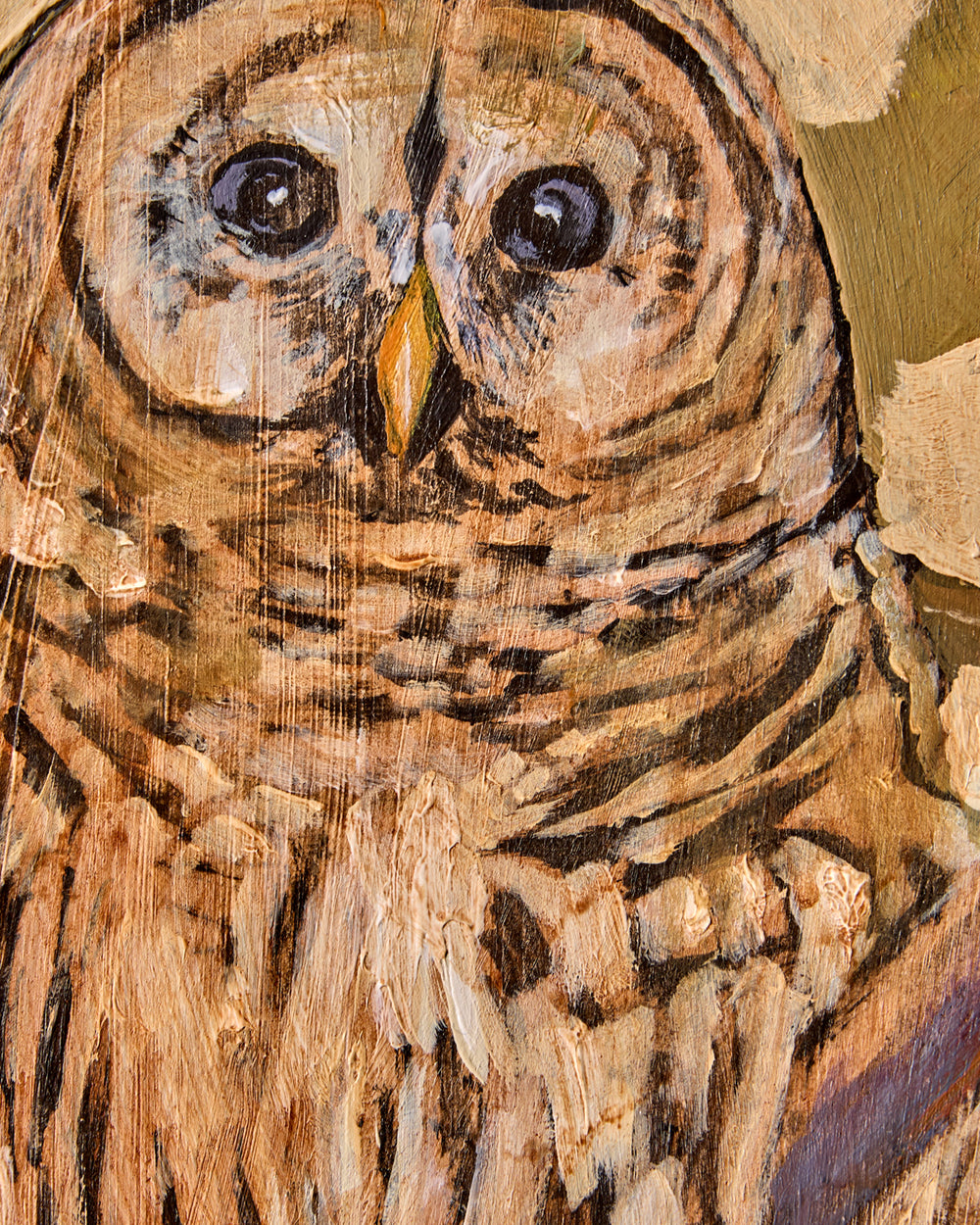 "Hoot Owl"