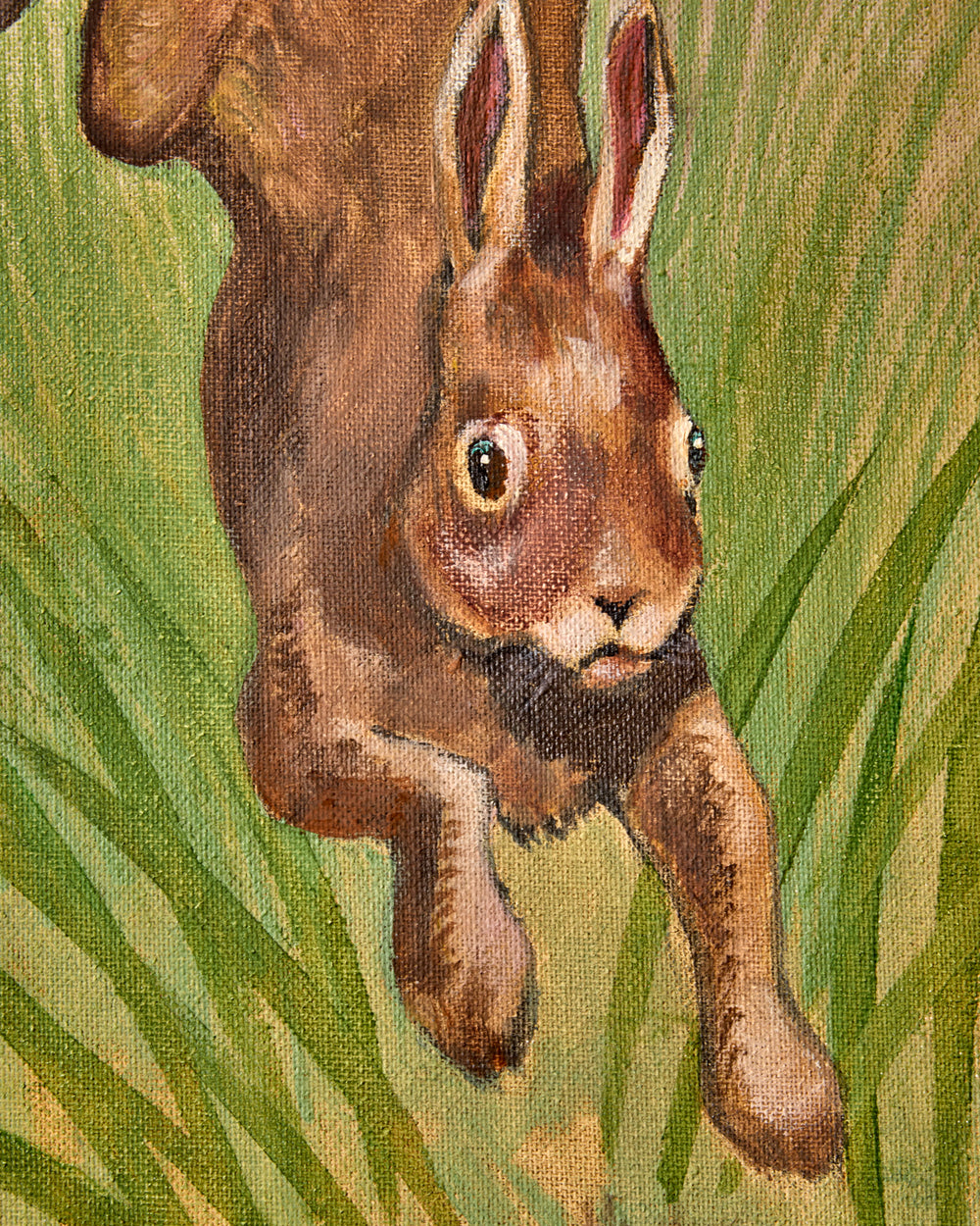 "Leaping Rabbit"