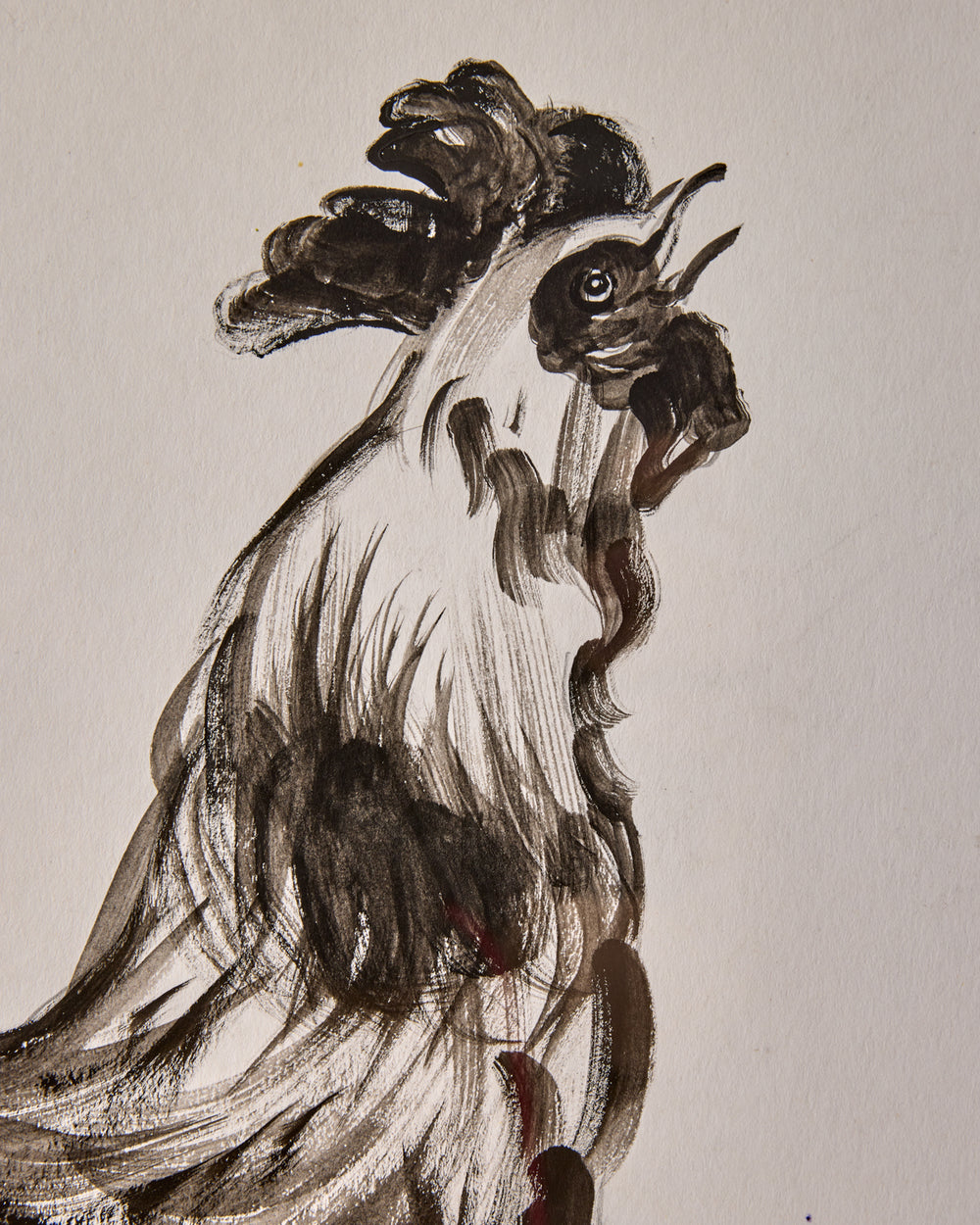 Rooster