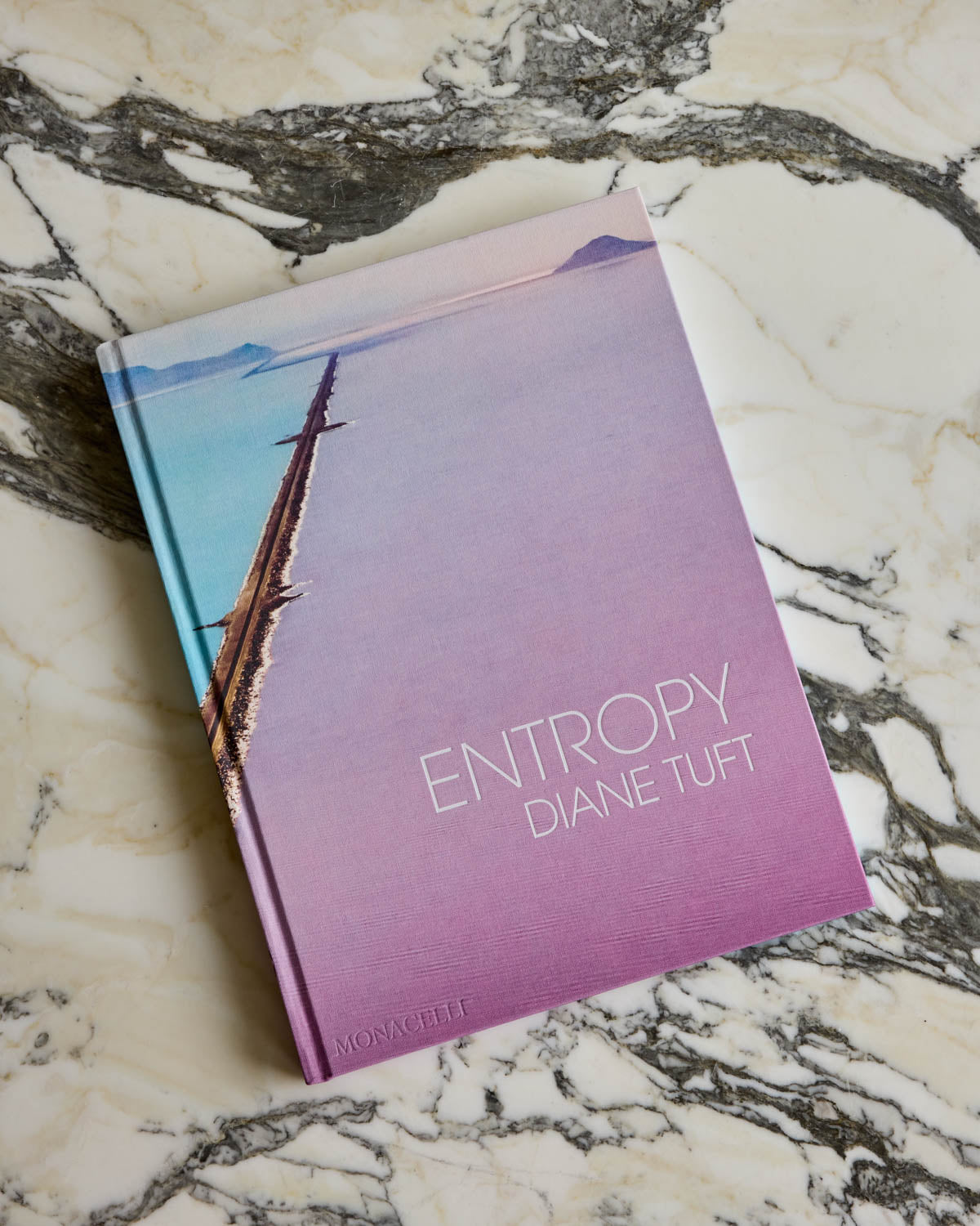 Entropy - Diane Tuft