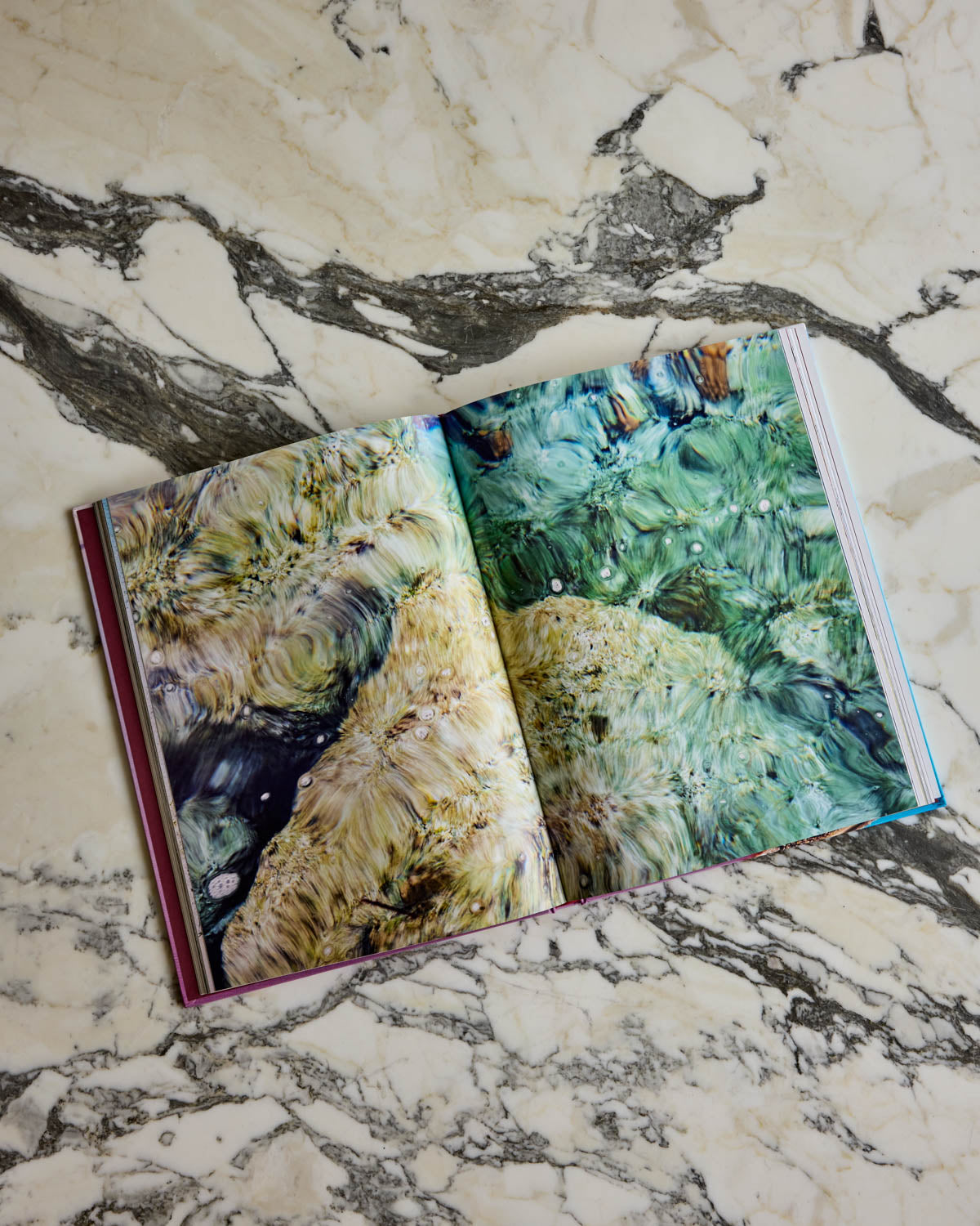 Entropy - Diane Tuft