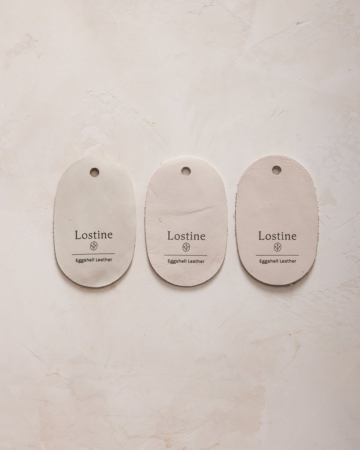 Eggshell Leather Sample